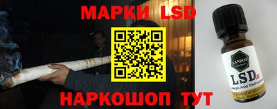 прущие грибы Рыбинск