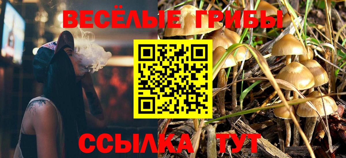 Белово  Псилоцибиновые грибы GOLDEN TEACHER  Вход с VPN 