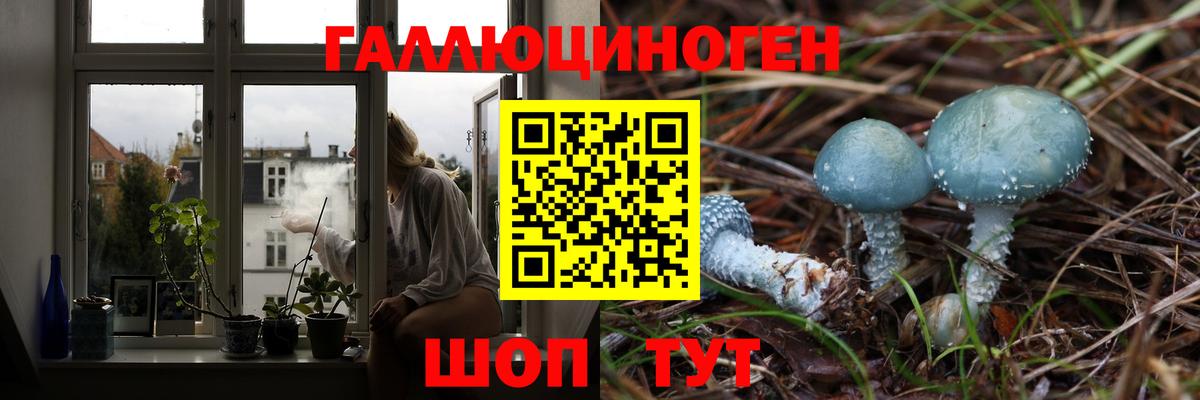 Галлюциногенные грибы прущие грибы Белово